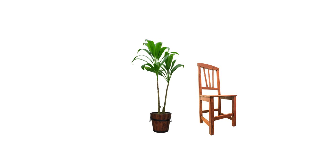 Silla para el comedor